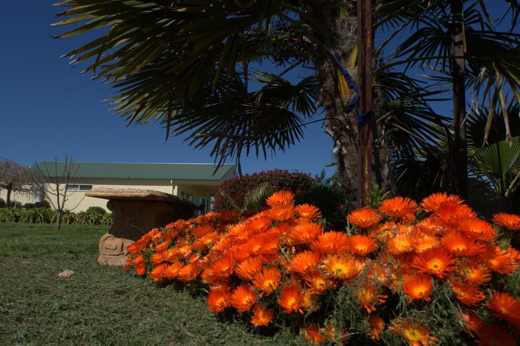 Milawa Muscat Retreat B&B Exteriör bild